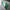 Grand Wallet Deep Green Special Edition Full Italian Leather